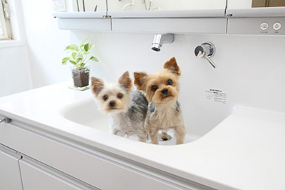 ���q�l�̐�